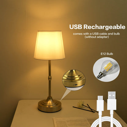 LED Table Lamp | Touch Control, Brushed Metal Finish