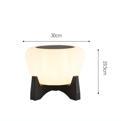 Solar Path Light | IP65 Waterproof LED Lamp for Outdoor Use